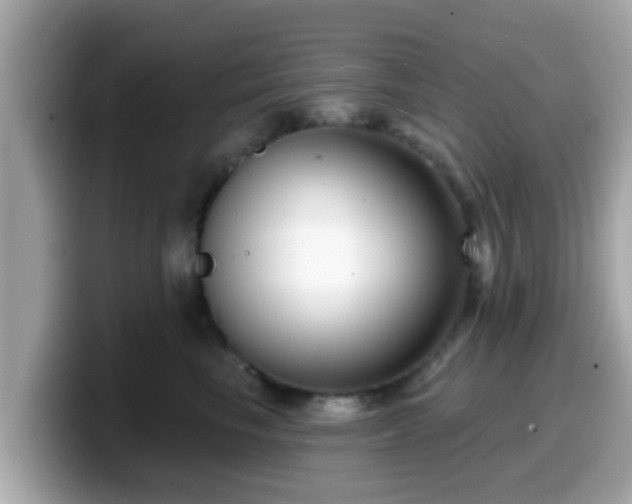 X0000099560665200805231513