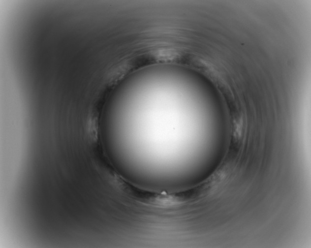 X0000099560666200805231513