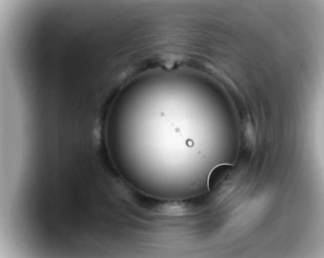 X0000099560668200805231513