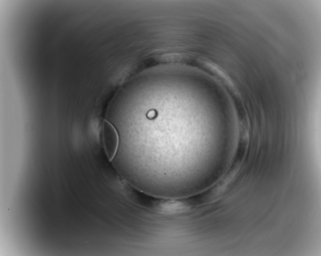 X0000099560669200805231513