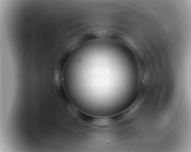 X0000099560671200805231513