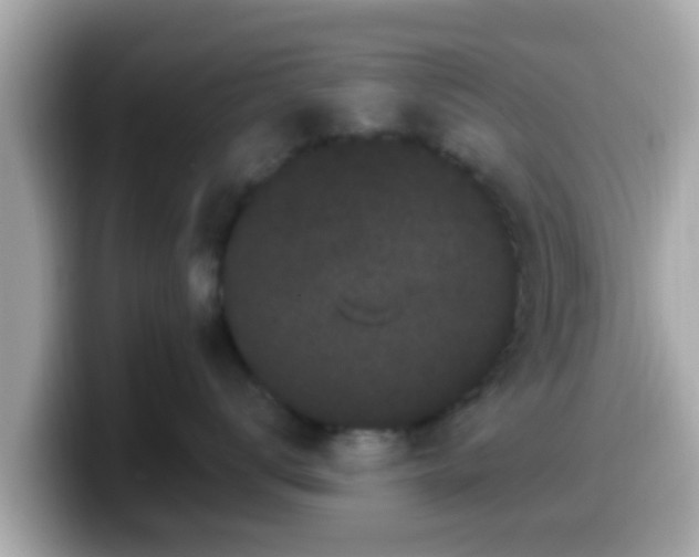 X0000099560672200805231513