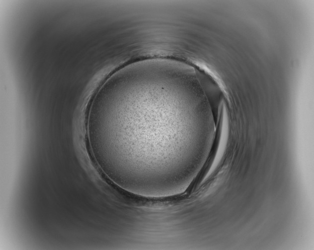 X0000099560673200805231513