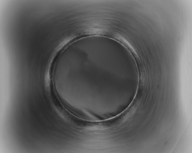 X0000099560674200805231513