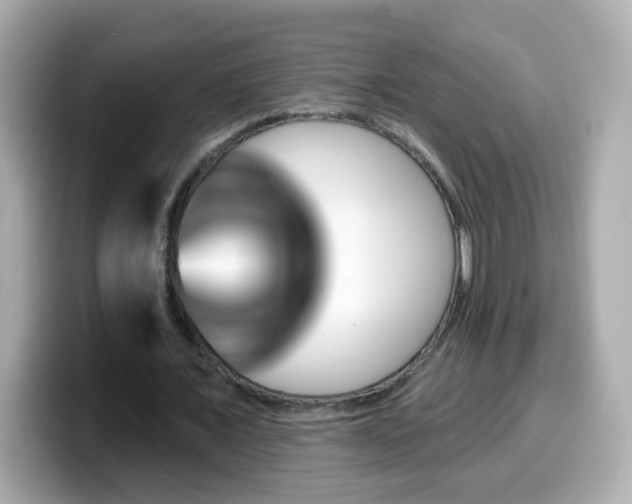 X0000099560675200805231513