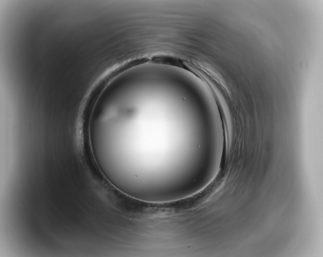 X0000099560676200805231513