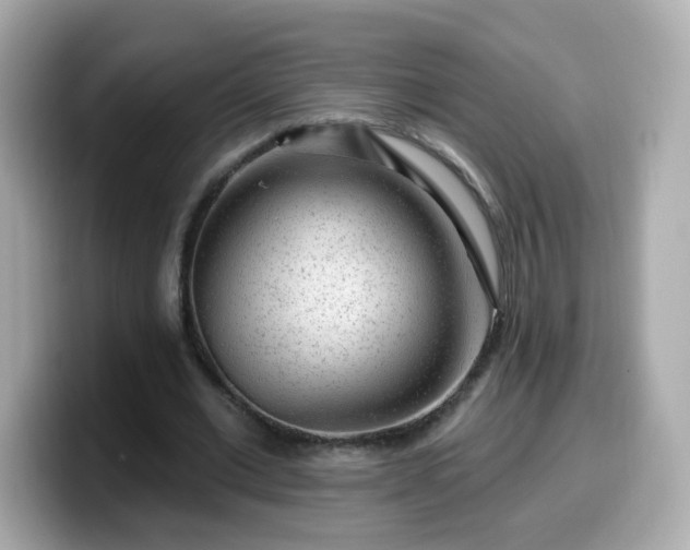 X0000099560677200805231513