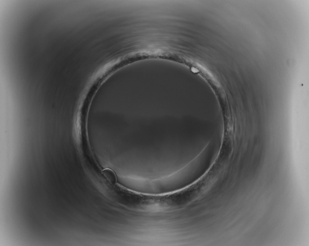 X0000099560678200805231513