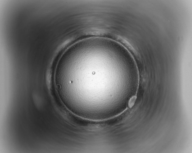 X0000099560679200805231513