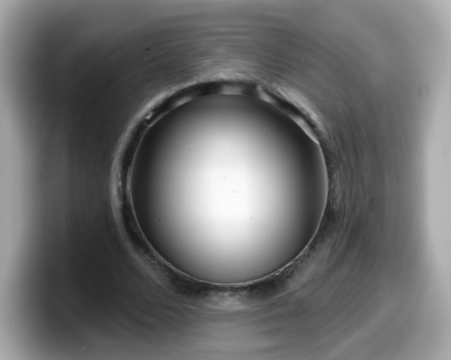 X0000099560680200805231513