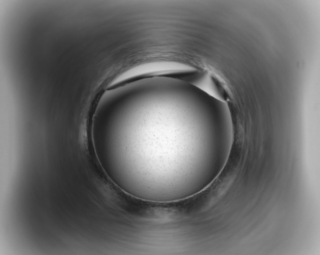 X0000099560681200805231513