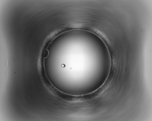 X0000099560682200805231513