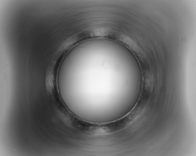 X0000099560683200805231513