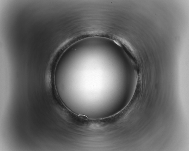 X0000099560684200805231513