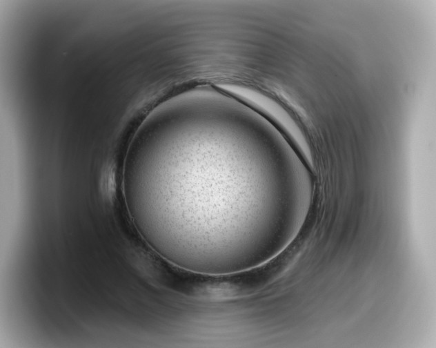 X0000099560685200805231513