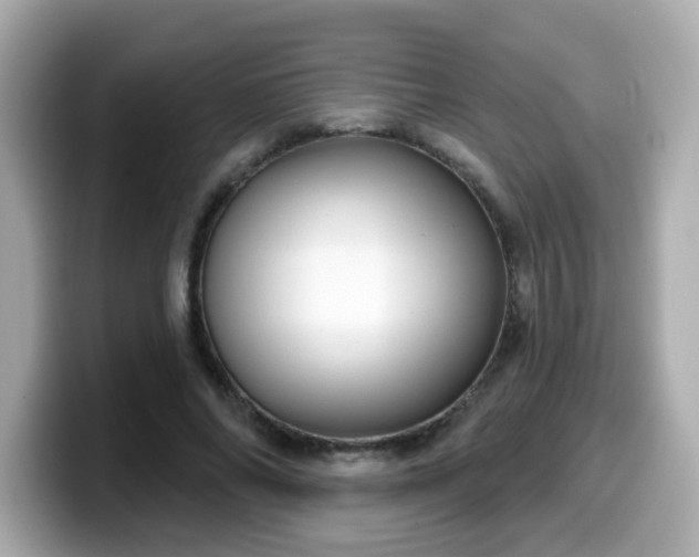 X0000099560686200805231513