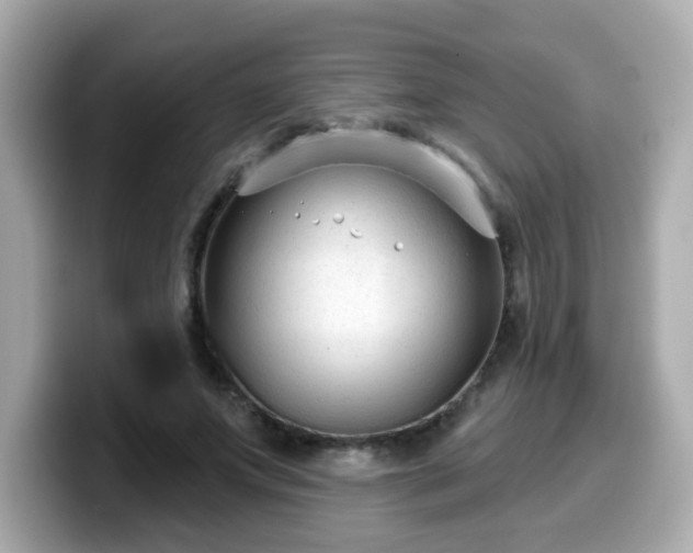 X0000099560687200805231512