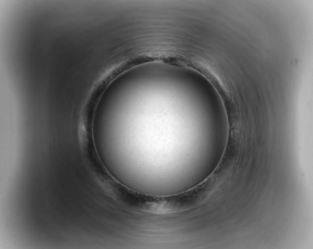 X0000099560688200805231512