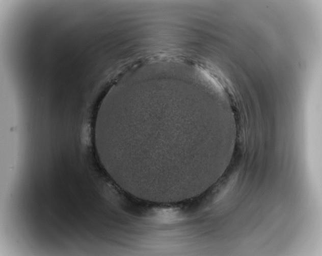 X0000099560689200805231512