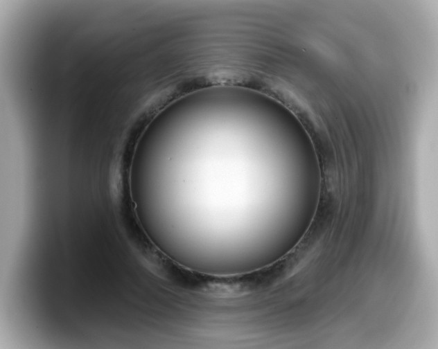 X0000099560690200805231512