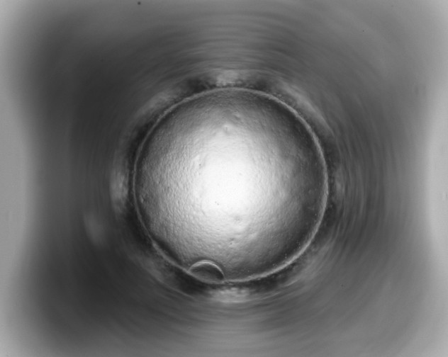 X0000099560691200805231512