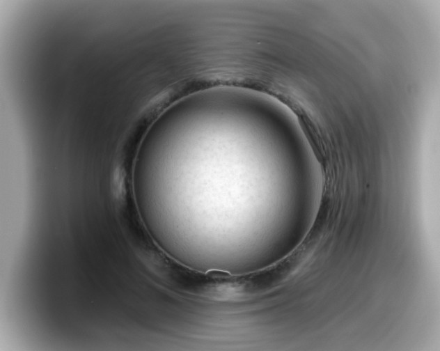 X0000099560692200805231512