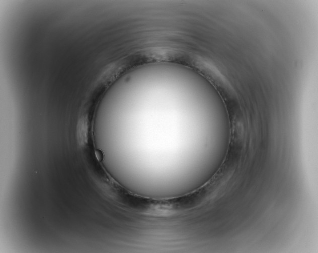 X0000099560694200805231512