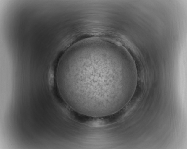 X0000099560696200805231512