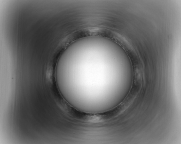 X0000099560698200805231512