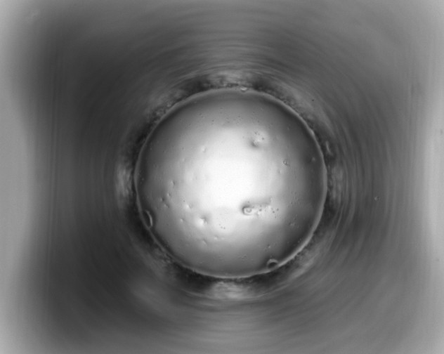 X0000099560699200805231512