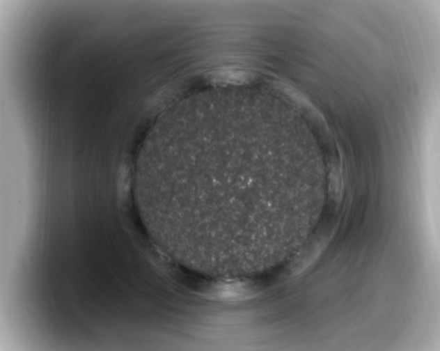 X0000099560701200805231512