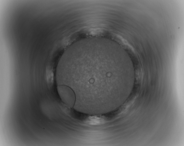 X0000099560703200805231512