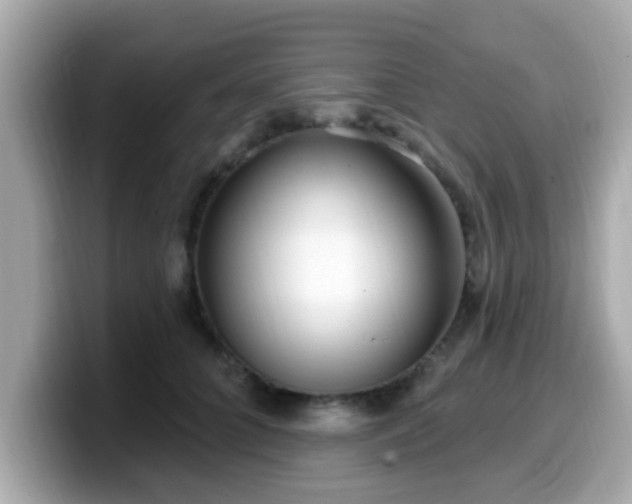 X0000099560704200805231512