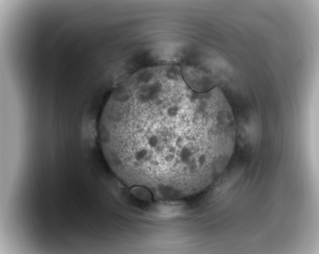 X0000099560707200805231512