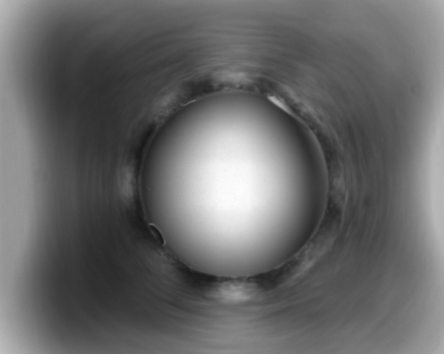 X0000099560708200805231512