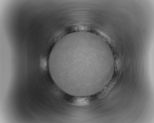 X0000099560709200805231512