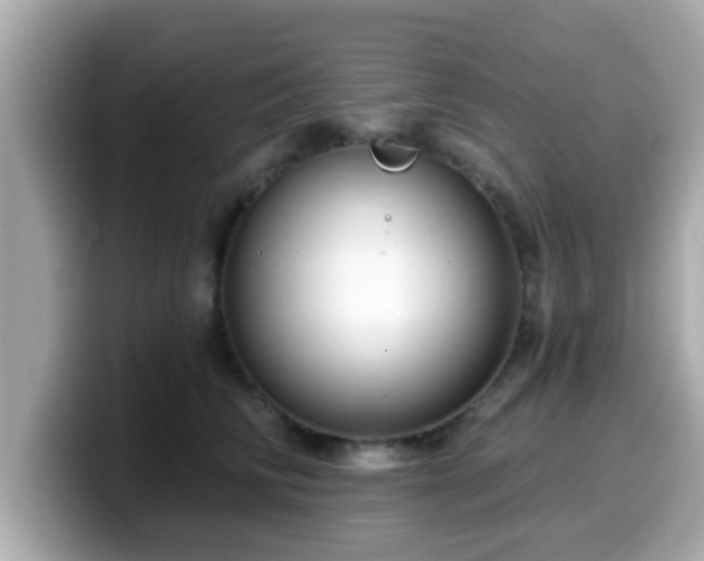 X0000099560710200805231512