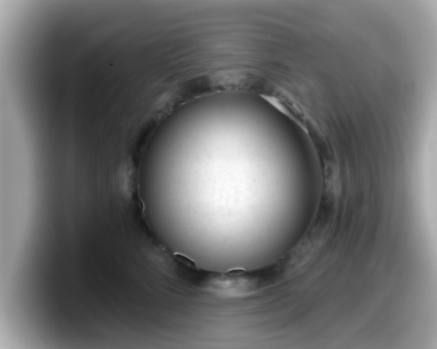 X0000099560712200805231512