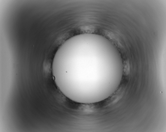 X0000099560713200805231512