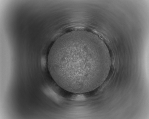 X0000099560715200805231512