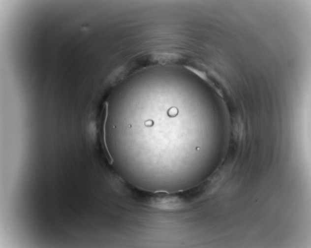 X0000099560716200805231512