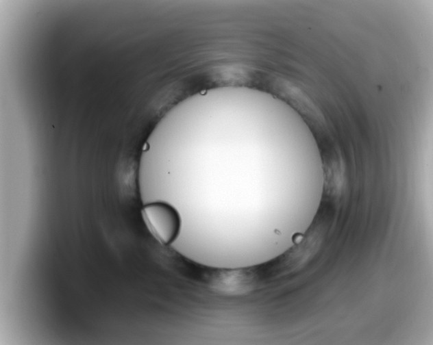 X0000099560717200805231512