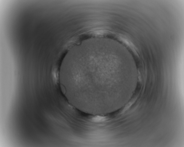 X0000099560718200805231512