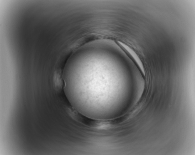 X0000099560719200805231512