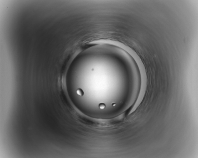 X0000099560720200805231512