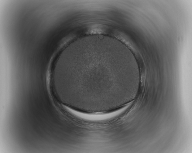 X0000099560722200805231511