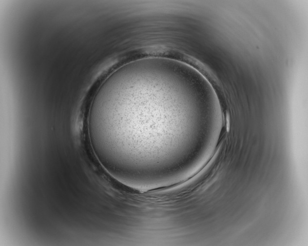 X0000099560723200805231511