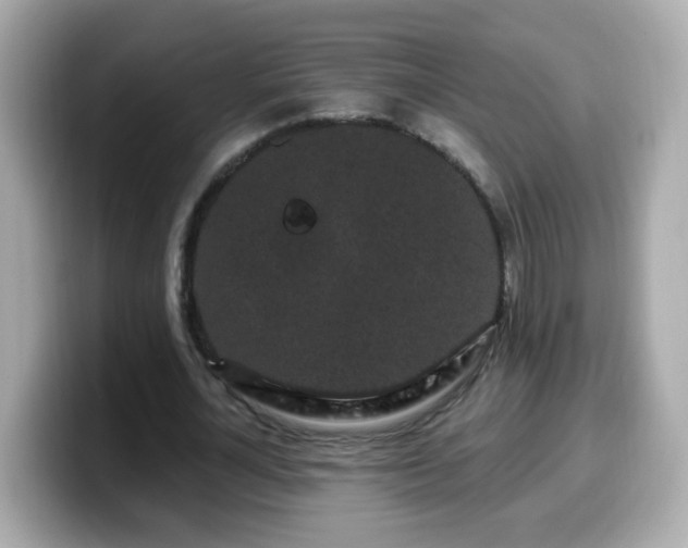 X0000099560724200805231512