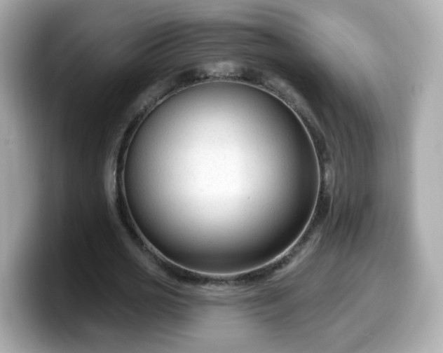 X0000099560725200805231512