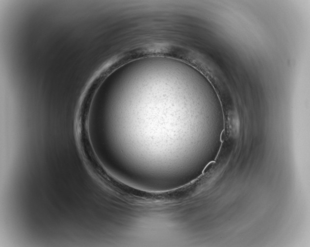 X0000099560726200805231512